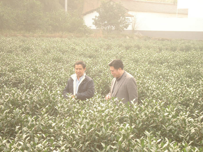 中國農科院首席科學家邱德文博士應本公司邀請在麗水大港頭鎮講課