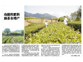 公司產品效果顯著榮登麗水日報